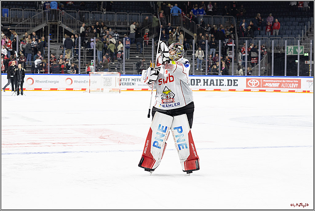 PENNY DEL 1; Kölner Haie - Fischtown Pinguins; Köln, 15.11.2024